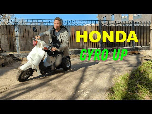 Грузовик среди скутеров-HONDA GYRO UP