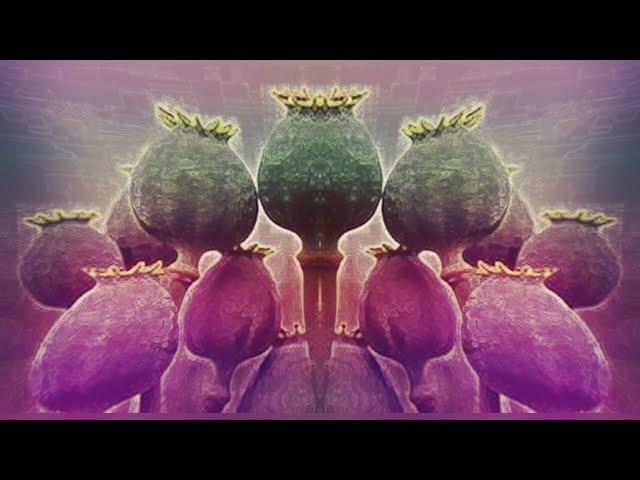 Opium V2  Narcotic Trance Music  Revolutionary 4D Technology (Based on Binaural Beats)