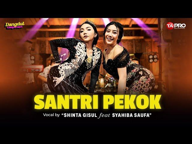 Shinta Gisul Ft. Syahiba Saufa - Santri Pekok (Dangdut Koplo Version)