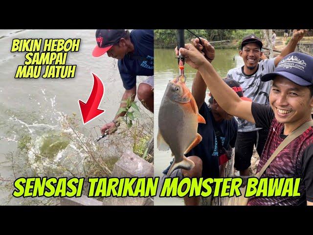 Mancing Bawal Monster bersama Tim Tukang Bangunan