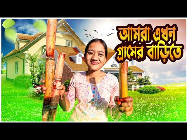 পাহাড়িদের টাটকা টাটকা সবজি 