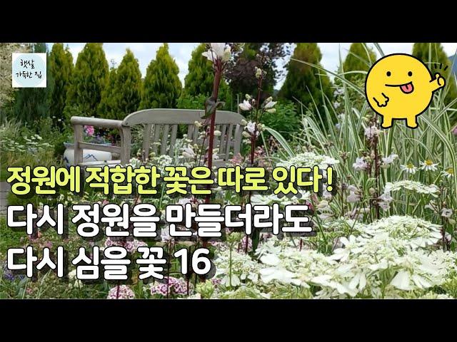 노지 정원에 강추하는 다년초 16가지/정원 식물 완전 정복/#가드닝 #정원