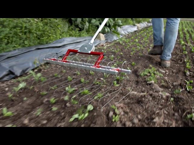 The Two Bad Cats Tine Weeder | Dubois Agrinovation