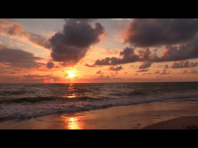 Video Background Sunset (No Copyright) 30 Detik