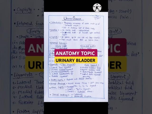 Urinary bladder |urinary bladder notes| urinary bladder anatomy #shorts #shortsvideo #viralvideo