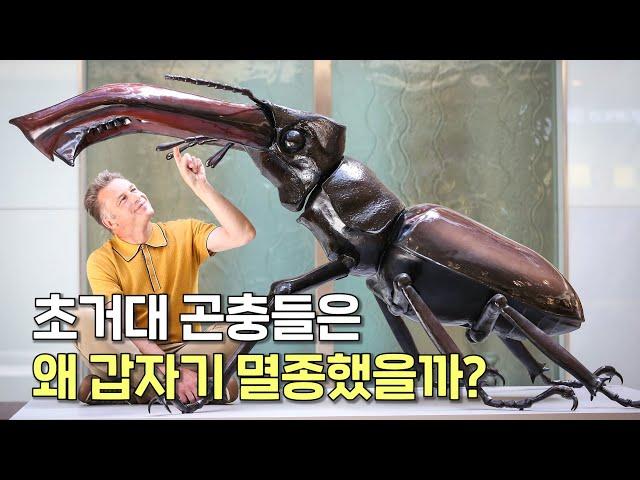 초거대 곤충들이 사라져버린 진짜 이유! 지구가 바뀌면 초거대 곤충의 시대가 다시 온다고?