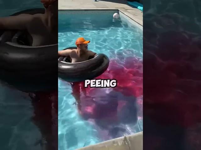 "Shocking Moment Revealed Who's Been Peeing in the Pool!  (Watch What Happens Next!)" #funny