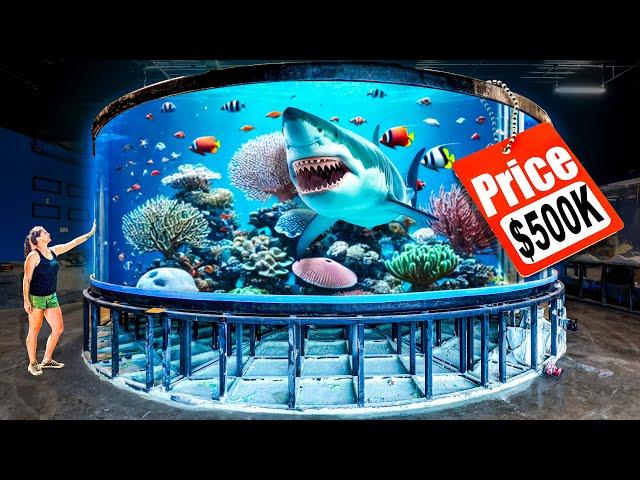 How Much Did I PAY for my GIANT SHARK TANK?!