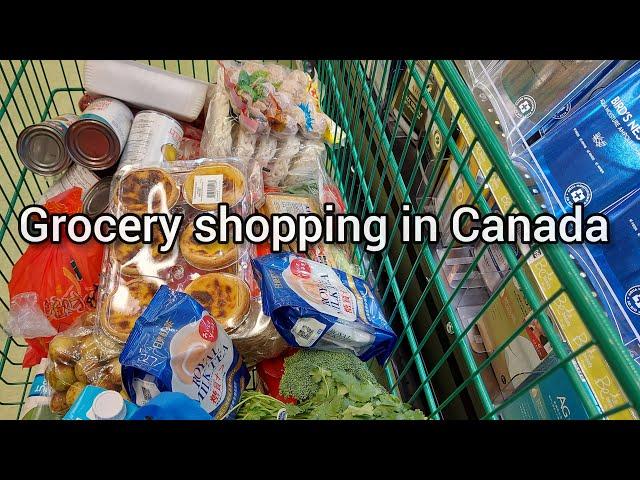 Grocery Shopping Compilation in Canada Summary of November grocery shopping with prices.