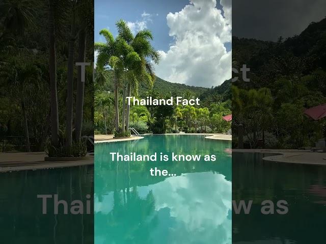 Have you been to Thailand? Let me know in the comments! #shorts #digitalnomad #travel #thailand