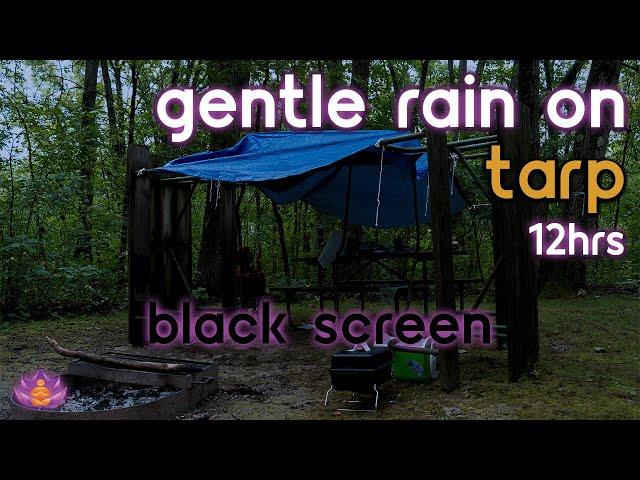 [Black Screen] Gentle Rain on Tarp | Rain Ambience No Thunder | Rain Sounds for Sleeping