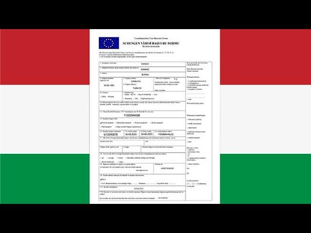  Schengen vize başvuru formu nasıl doldurulur ? Başvuru Formu ( Vize Olumlu) #schengenvizesi