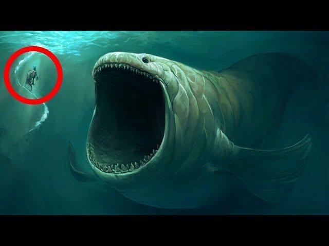 10 Most DANGEROUS Ocean Creatures In The World!