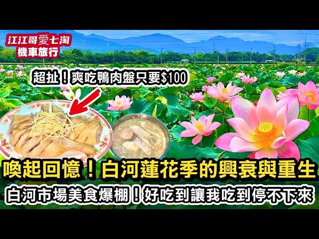 【江江哥愛七淘】白河蓮花季如何從沒落走向重生？白河市場爆吃台南美食｜白河美食｜台南景點｜機車旅行一日遊｜環島旅遊日記