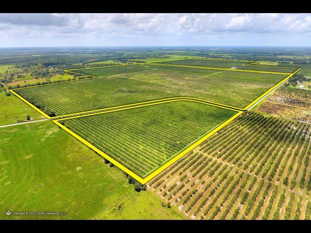 5015 Fish Branch Road, Zolfo Springs, FL 33890