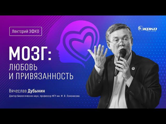 Лекторий ЭФКО. «Ревность, гормоны и секс – почему эволюция выбирает моногамию?» – Вячеслав Дубынин