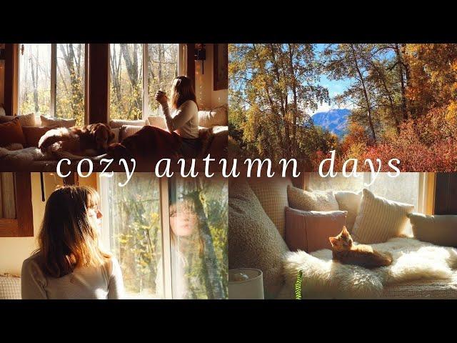 Cozy Autumn Days  autumn in the mountains & a cozy day reading & baking at home (meet my new kitty)