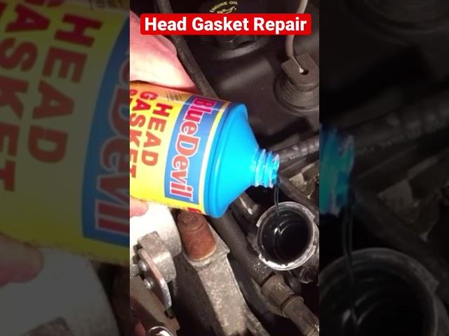 How to “Easily” fix a blown head gasket. Anyone can do it 