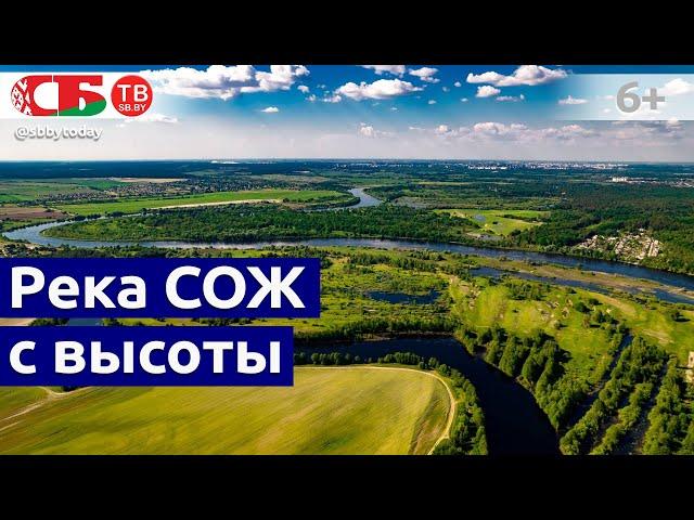 Река Сож с высоты птичьего полета | красивое аэровидео | 4k UHD