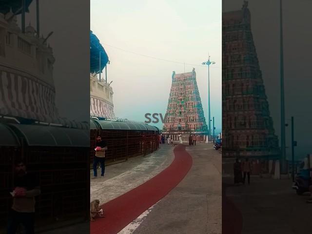 Kanda Sashti Festival 5.11.24  Tiruttani Murugan temple  #arupadaiveedu #youtubeshorts