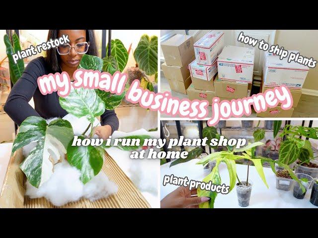 Small Business Journey: Rare Plant Restock,Soil Free Aroid Potting Mix,Watering & Fertilizing Plants