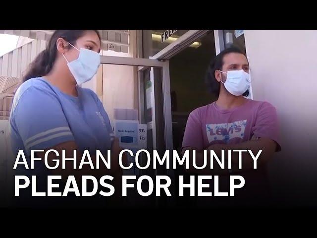 Bay Area's Afghan Community Calls for Help Amid Crisis Overseas