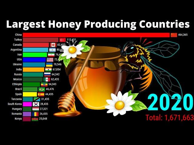 Top Honey Producing Countries | Honey Production by Countries ( 1960-2020 )