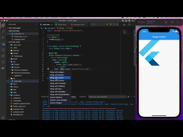 Image Assets in Flutter using VS Code