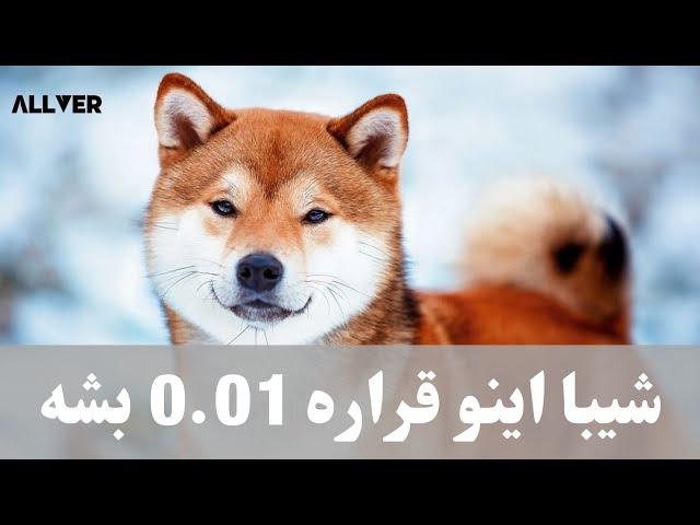 شیبا اینو قراره 0.01$ بشه/حواستو جمع کن عقب نمونی