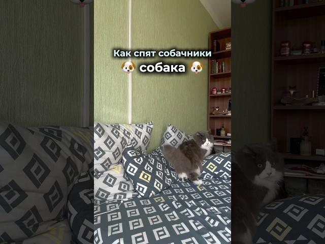 Чтобы избежать таких сюрпризов, нашла на WB пробиотик с натуральным составом #232465954 