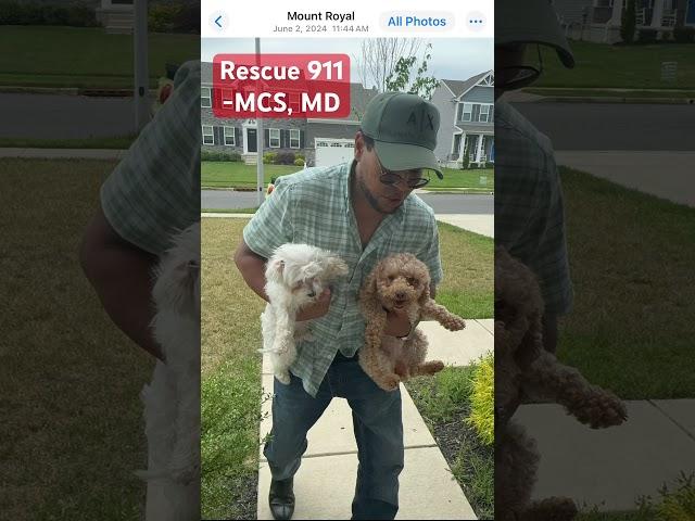 MCS, MD-Rescue 911 