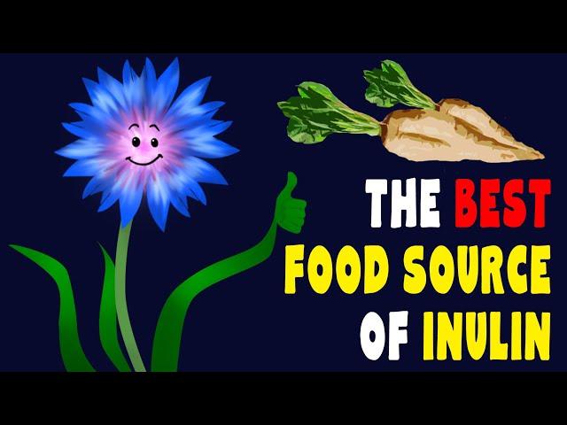 CHICORY ROOT: Way Better Than Coffee - Benefits & Side Effects
