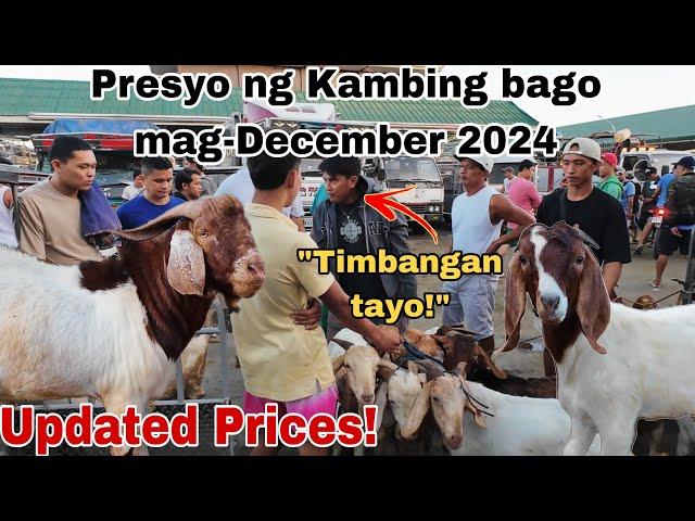 November 22, 2024 Presyo ng Kambing sa Padre Garcia Batangas Livestock Auction