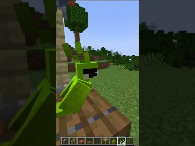 parrot house real | MINECRAFT #minecraft #shortsviral