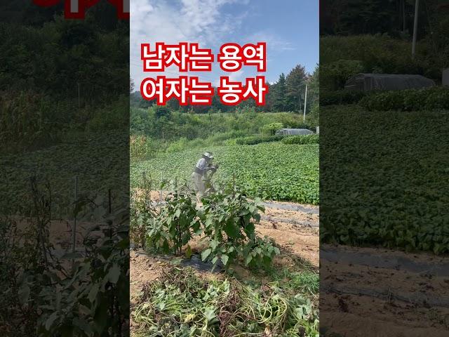교수님 공무원 아내들도 피하지 못합니다 귀농귀촌 여자 아줌마 조심하세요