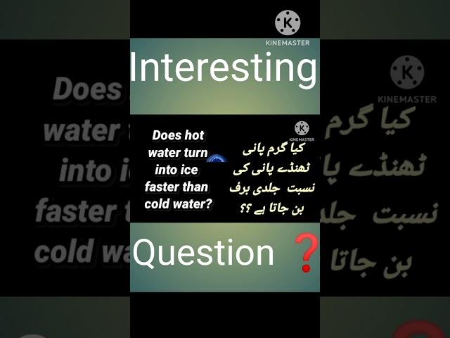 Top  #Riddles in English\ #paheliya in urdu \ guess the answer\ hafizwasim99