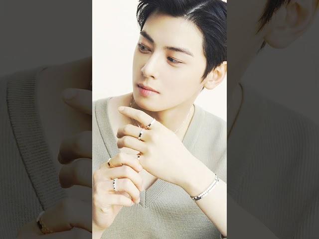 cha eun woo handsome ️