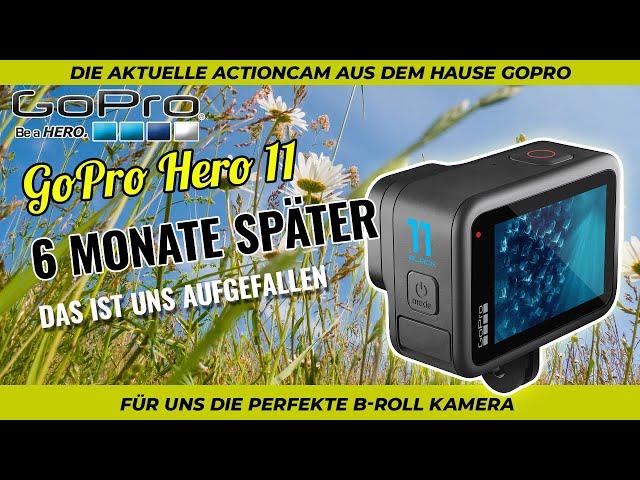 GoPro Hero 11 - Unsere Meinung nach 6 Monaten mit der Actioncam - Was ist uns aufgefallen? Fazit