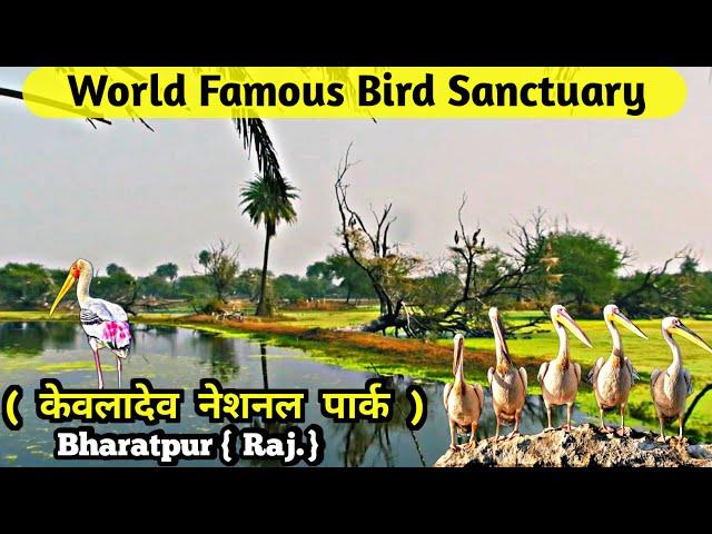 Keoladeo National Park | Bharatpur Bird Sanctuary | Ghana Pakshi Vihar #bharatpurbirdsanctuary