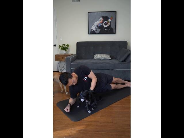 Prehab At Home (Dog Workout)