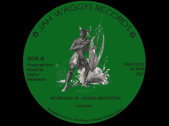 Jah Waggys Dubplate Selection Vol.35-12"-Never Give Up / Higher Meditation