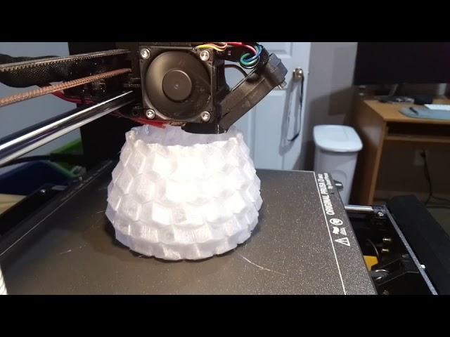 Honeycomb Vase Timelapse