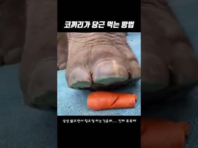 이빨아플때 꿀팊