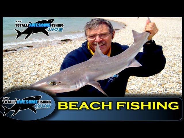 How to catch Smooth Hounds from the beach - The Totally Awesome Fishing Show