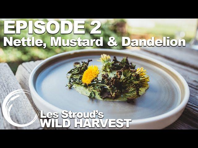 Wild Harvest | Season 2 | Episode 2 | Nettle, Mustard & Dandelion