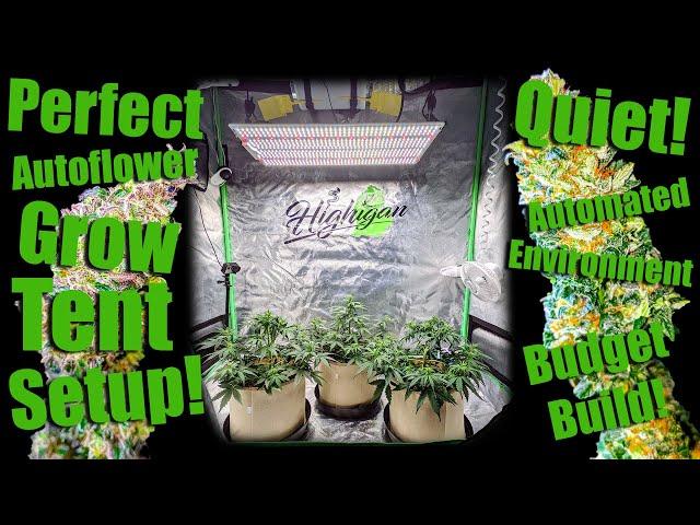 Perfect 2x4 Autoflower Grow Tent Setup! Quiet, Automated Environment!