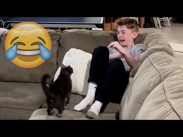 Cats Being JERKS! Savage Cats Attacking People Compilation || PETASTIC 