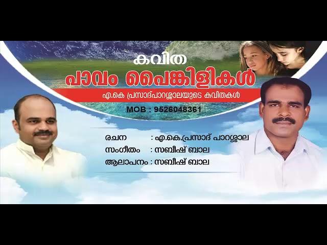 Paavam Painkilikal - Kavitha | Sabeesh Bala | A.K. Prasad Parassala
