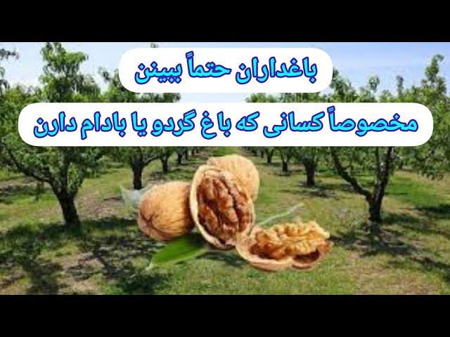 باغداران حتماً این کلیپ ببینن؛مخصوصاً کسانی که باغ گردو یا بادام دارن