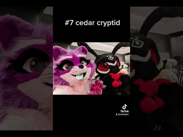 the most unique fursuits i have seen IRL #furry #fursuits #fursuiters #furryfandom